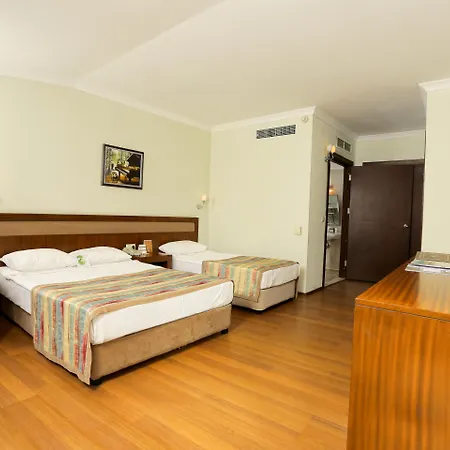 Selectum Family Comfort Side Kızılağaç